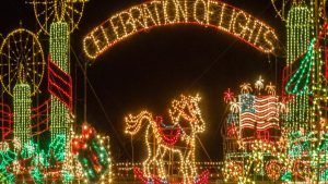 The Meadows Lights