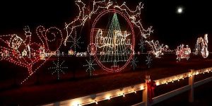 The Meadows Lights