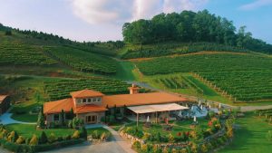 Aerial view of Linville Falls Winery with vineyard-covered hills, tasting room, and outdoor seating area.